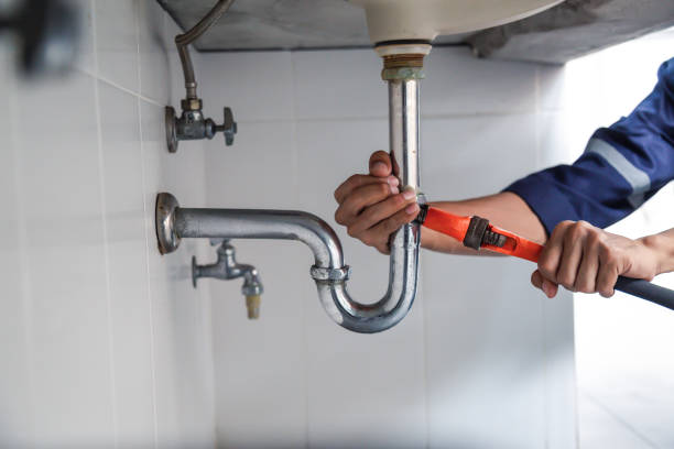 Best Drain Cleaning Services  in Newton, AL