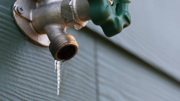  Newton, AL Plumbing Pros