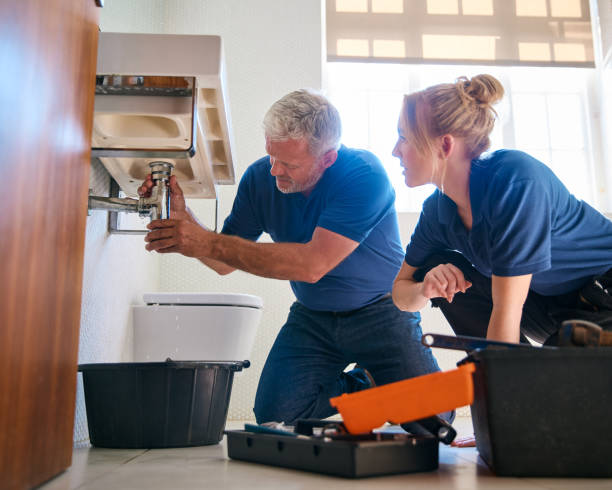 Best Local Plumber Services  in Newton, AL